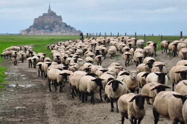 B&B La Rive - Le Mont Saint Michel Ardevon Экстерьер фото